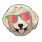 The Ultimate Labradoodle Emoji Texting App