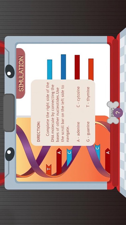 DNA Structure Freddy's Lab