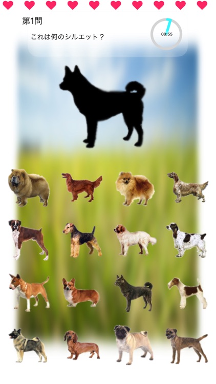 Dogs Walk Silhouette Touch :: Game with 109 Dogs