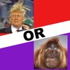 Trump or Monkey