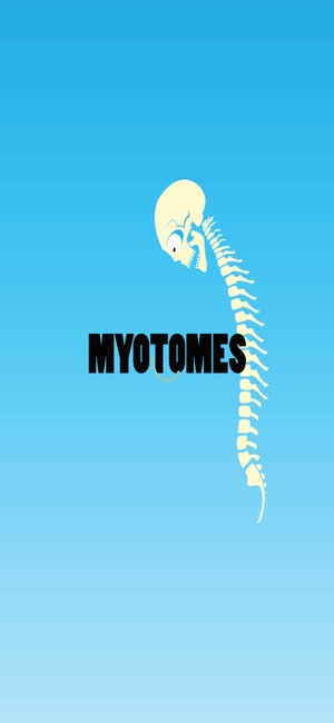 Myotome learner(圖3)-速報App