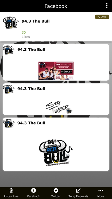 94.3 The Bull screenshot 2