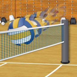 Spike the Volleyballs