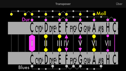 How to cancel & delete The Transposer from iphone & ipad 1