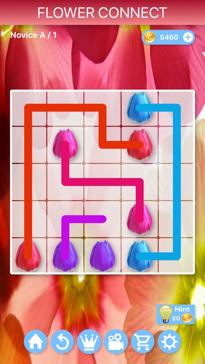 Flower Connect - Puzzles