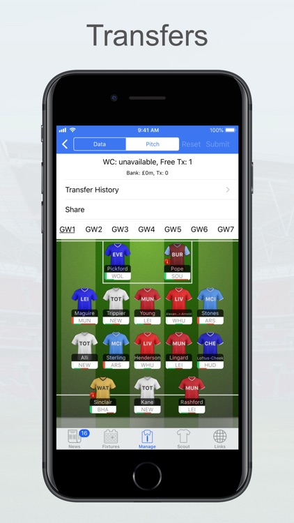 Fantasy Football Manager, Lite