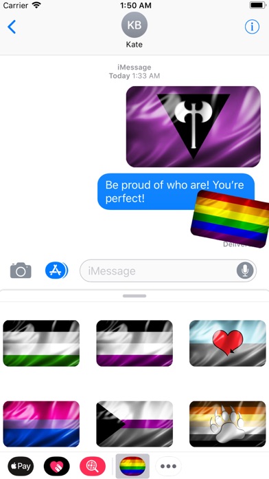 LGBT Pride Flags screenshot 2