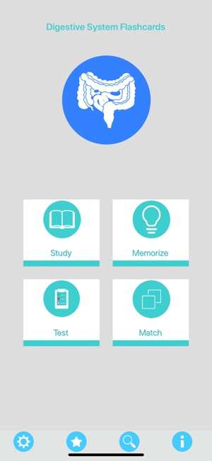 Digestive System Flashcards