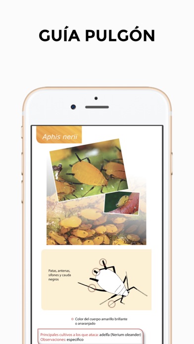 GUÍA PULGÓN screenshot 4