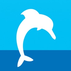 Activities of Dolphin Water Game