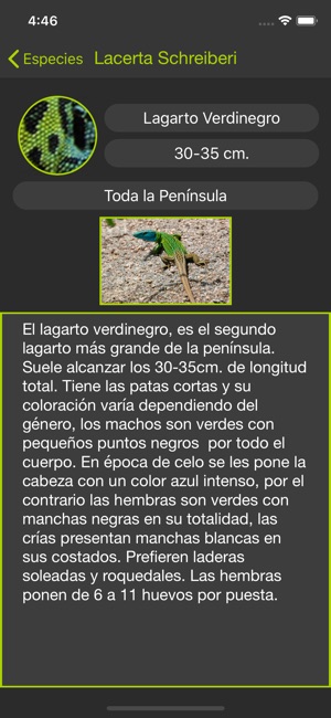 Guía de reptiles de España(圖2)-速報App