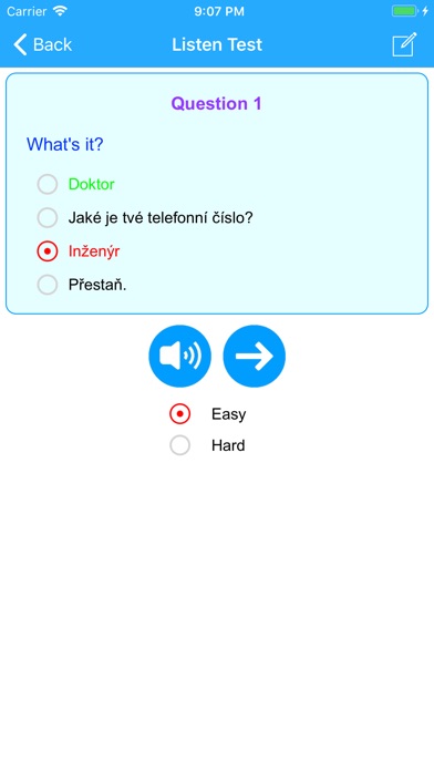 Learn Czech Easy Offline screenshot 4