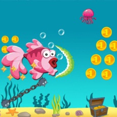 Activities of Fish Funny 2D