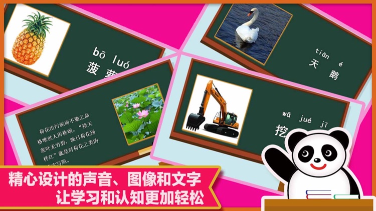 Panda Chinese Class- 熊猫认知小博士课堂