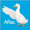 no app image