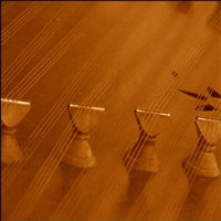 Persian Santoor  PC 용