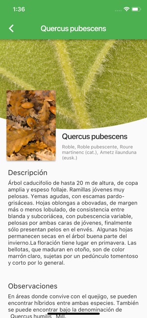 Arboles Ibericos(圖8)-速報App