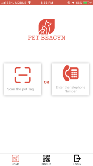 PET BEACYN(圖2)-速報App