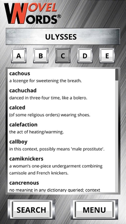 Novel Words Collection screenshot-3