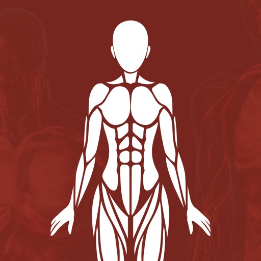 Learn Physiology &Body Anatomy Icon