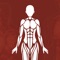 Learn Physiology &Body Anatomy