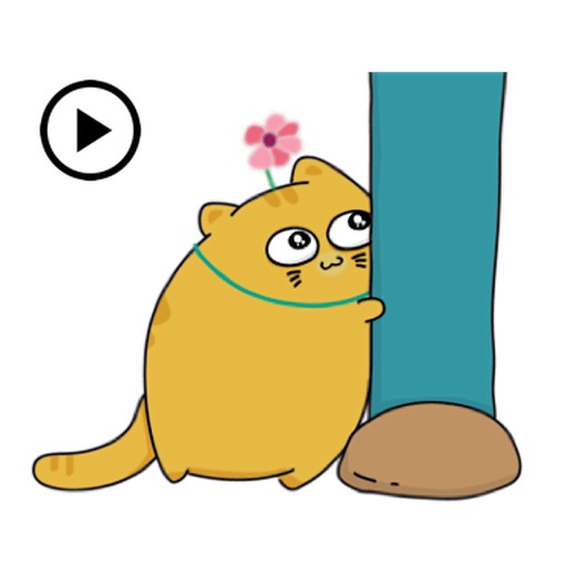Sweet Cat Animated Sticker