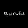 Black Orchid Hair Studio