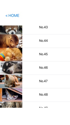 癒しの動物寝顔 をapp Storeで