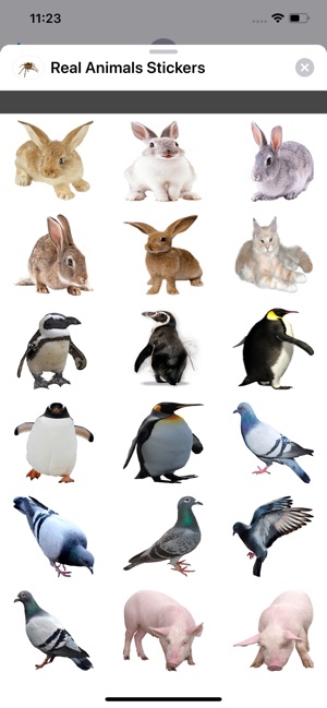 Real Animals Stickers(圖2)-速報App