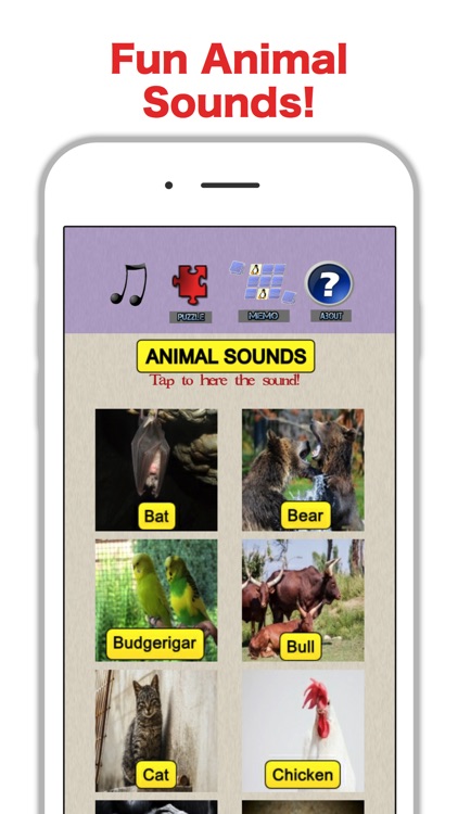 Animal Sound ABC: Fun For Kids