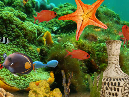 MyReef 3D Aquarium 2 HD screenshot