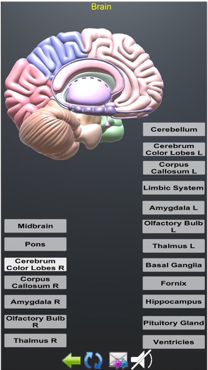 Human Anatomy Encyclopedia 3D screenshot-4