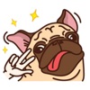 Cute Pug Dog PugMoji Stickers