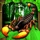 Scorpion Simulator