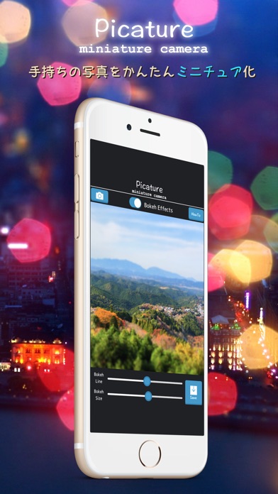 Picature Professional screenshot1