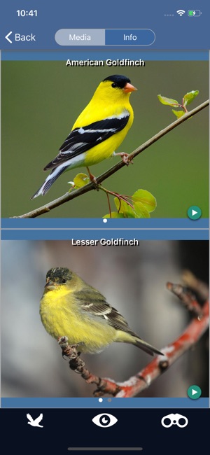 Bird Id USA backyard birds(圖3)-速報App