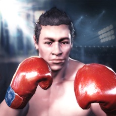 Activities of Boxing King 3D