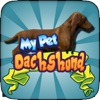 My Pet Dachshund