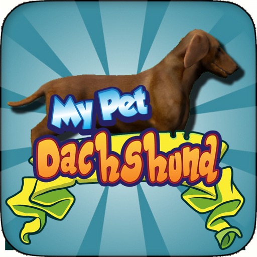 My Pet Dachshund