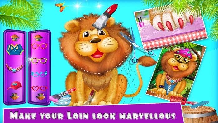 Jungle Star Pets Beauty Salon