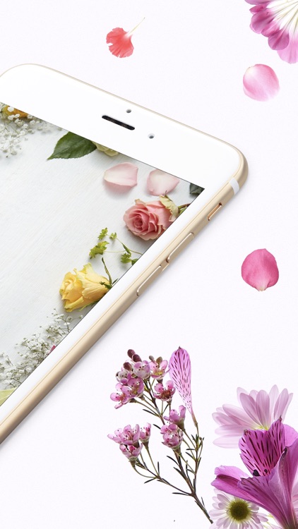 1800Flowers: Flowers & Gifts