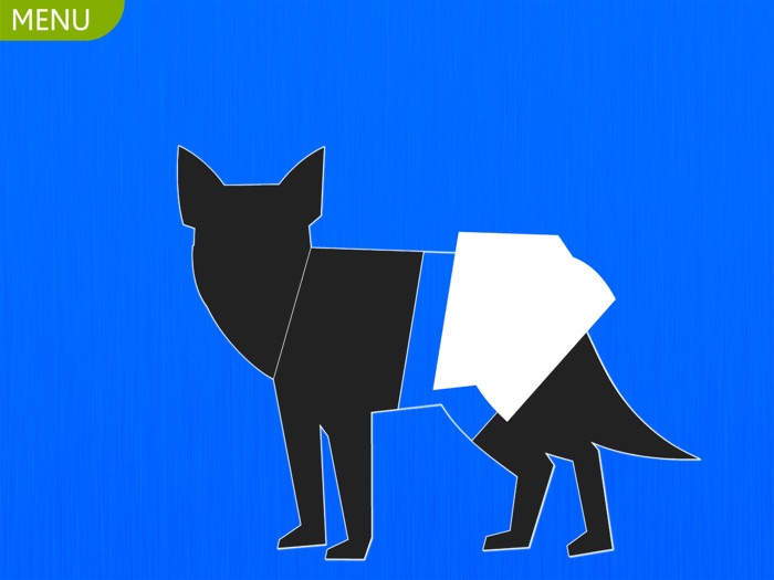 Snap and Fit - Junior