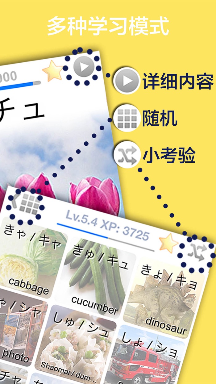 最齐全日语字母五十音平假名LingoCards