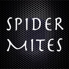 Activities of SPIDER MITES
