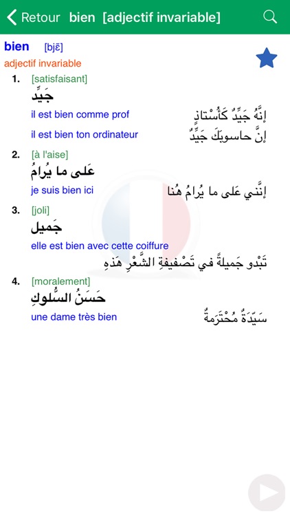 Dictionnaire d'arabe Larousse screenshot-3