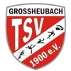 TSV Großheubach Volleyball