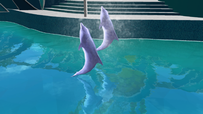 Dolphin show dolphin games 3D screenshot 2