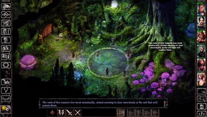 Siege of Dragonspear screenshot1
