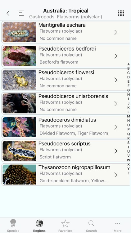 Nudis screenshot-3