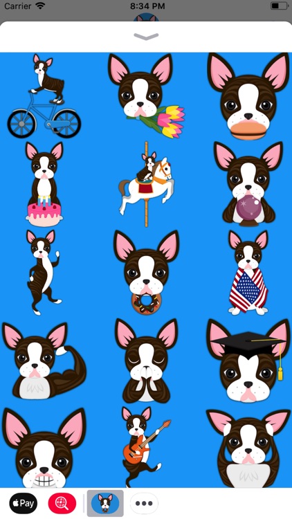 Brindle Boston Terrier Emoji screenshot-3